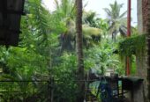 නිවාස සහ කඩ කමර විකිනිමට