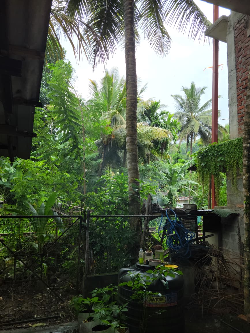 නිවාස සහ කඩ කමර විකිනිමට