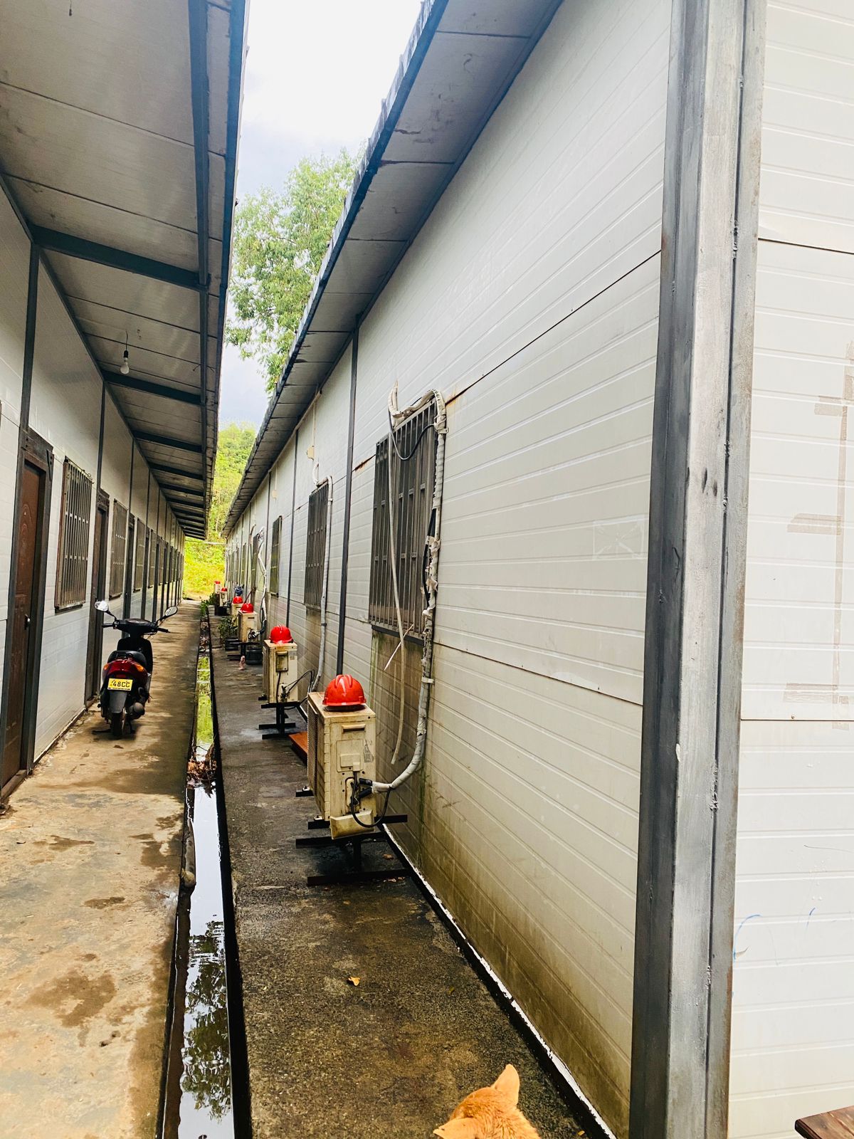 Building for Sale – Laggala