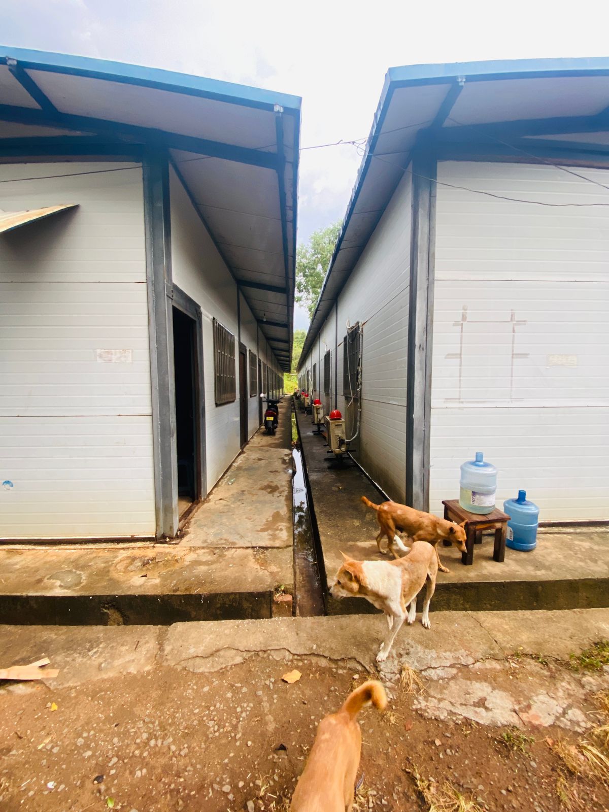 Building for Sale – Laggala