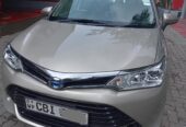 Toyota Axio Hybrid