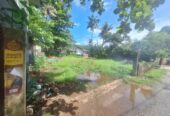 Land for Sale in Nalluruwa
