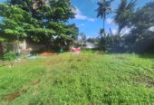 Land for Sale in Nalluruwa