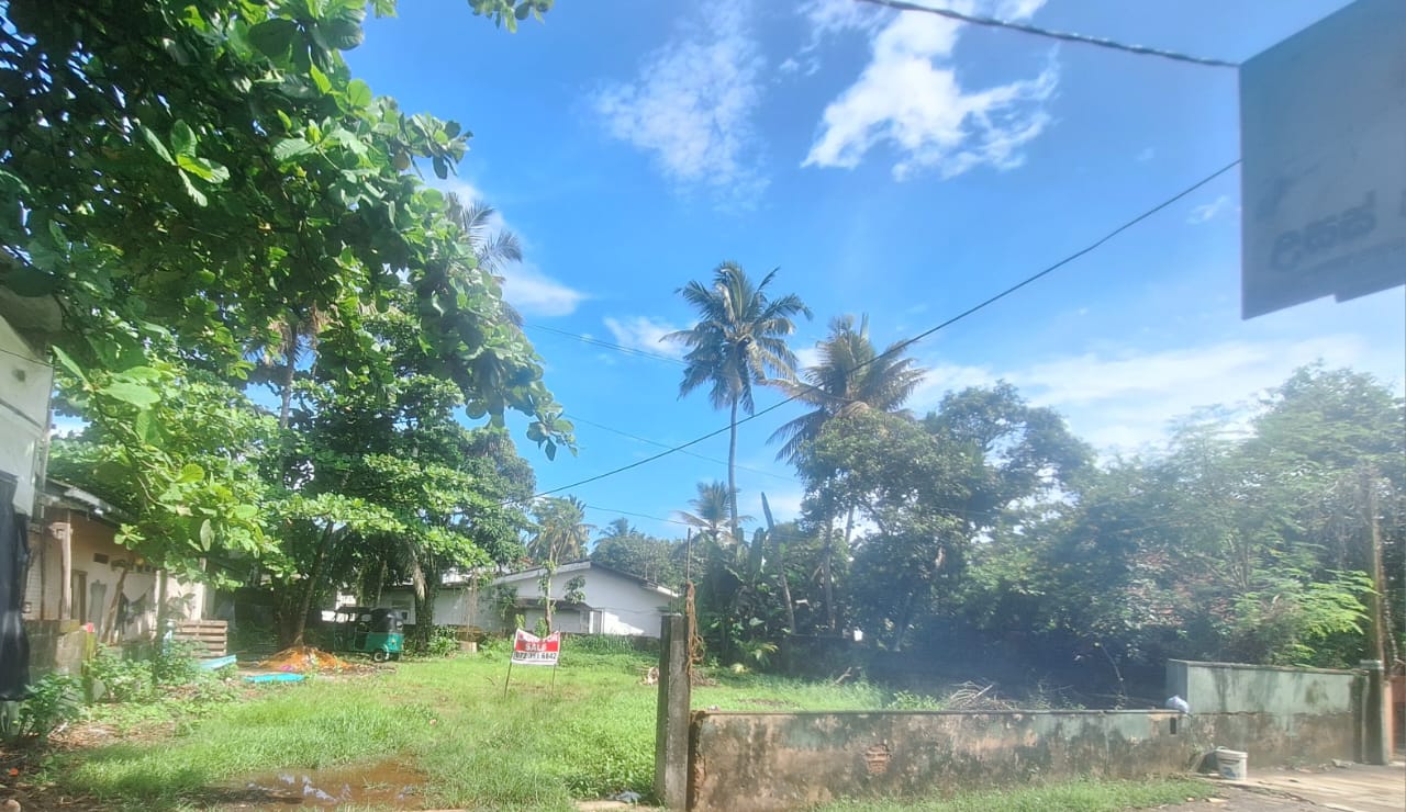 Land for Sale in Nalluruwa