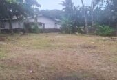 Land for Sale in Nalluruwa
