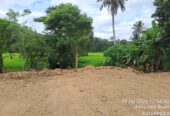 Land for sale in polgahawela