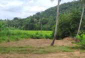 Land for sale in polgahawela