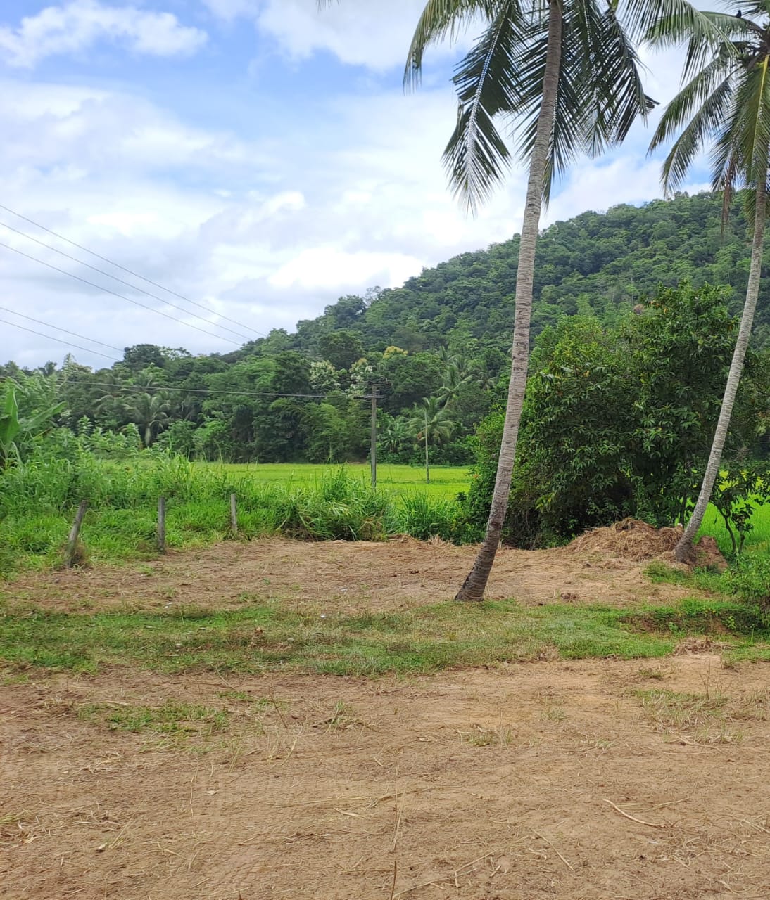 Land for sale in polgahawela