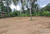Land for sale in polgahawela