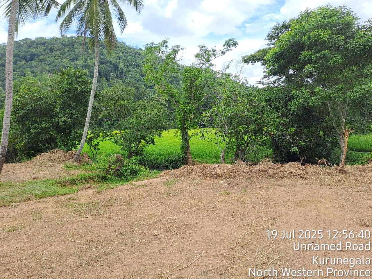 Land for sale in polgahawela