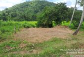 Land for sale in polgahawela