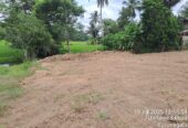 Land for sale in polgahawela