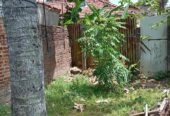 Land for Sale Negombo