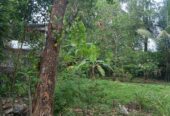 Land For Sale In කුඩමාදුව