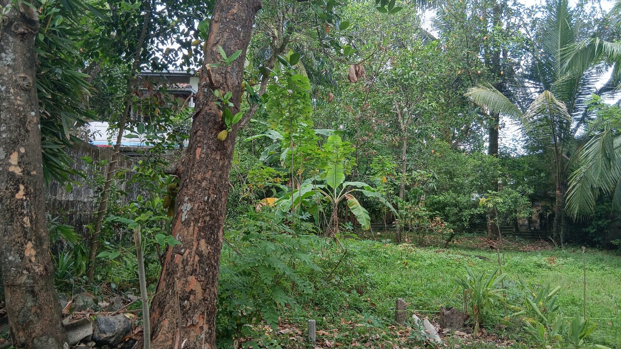 Land For Sale In කුඩමාදුව