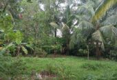 Land For Sale In කුඩමාදුව