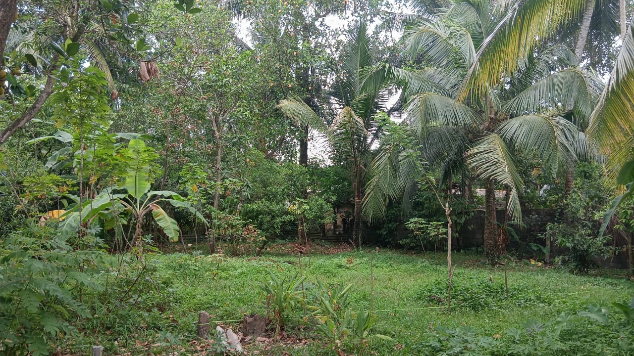 Land For Sale In කුඩමාදුව
