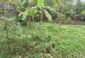 Land For Sale In කුඩමාදුව