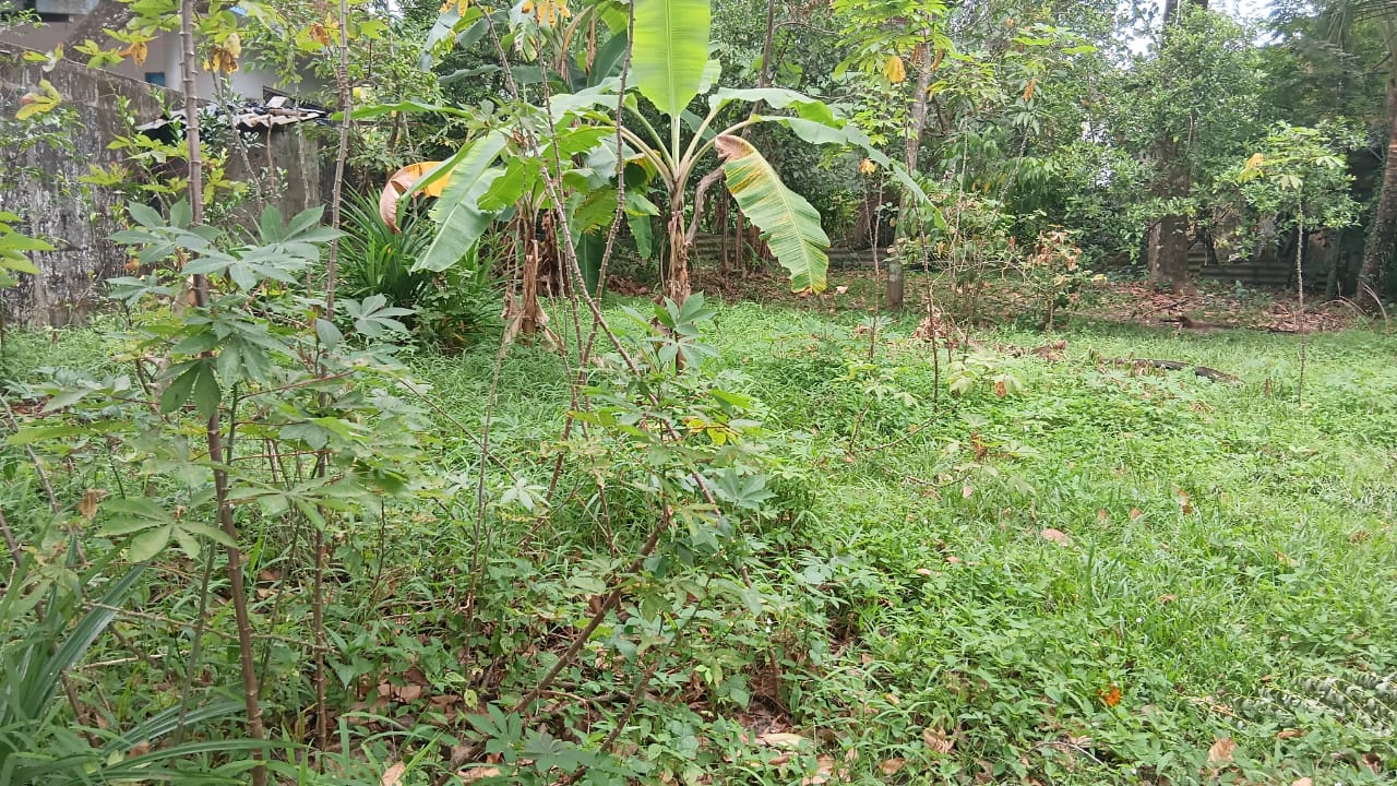 Land For Sale In කුඩමාදුව