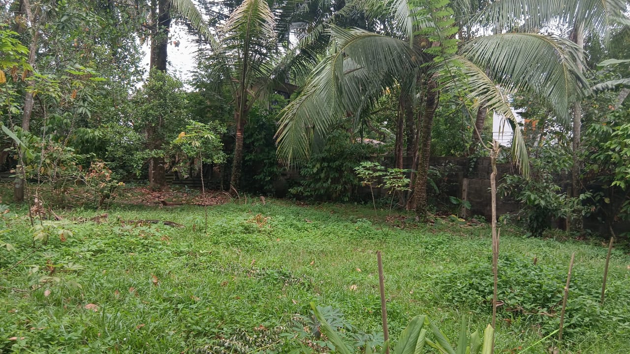 Land For Sale In කුඩමාදුව