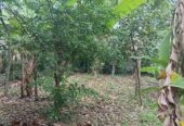 Land For Sale In කුඩමාදුව