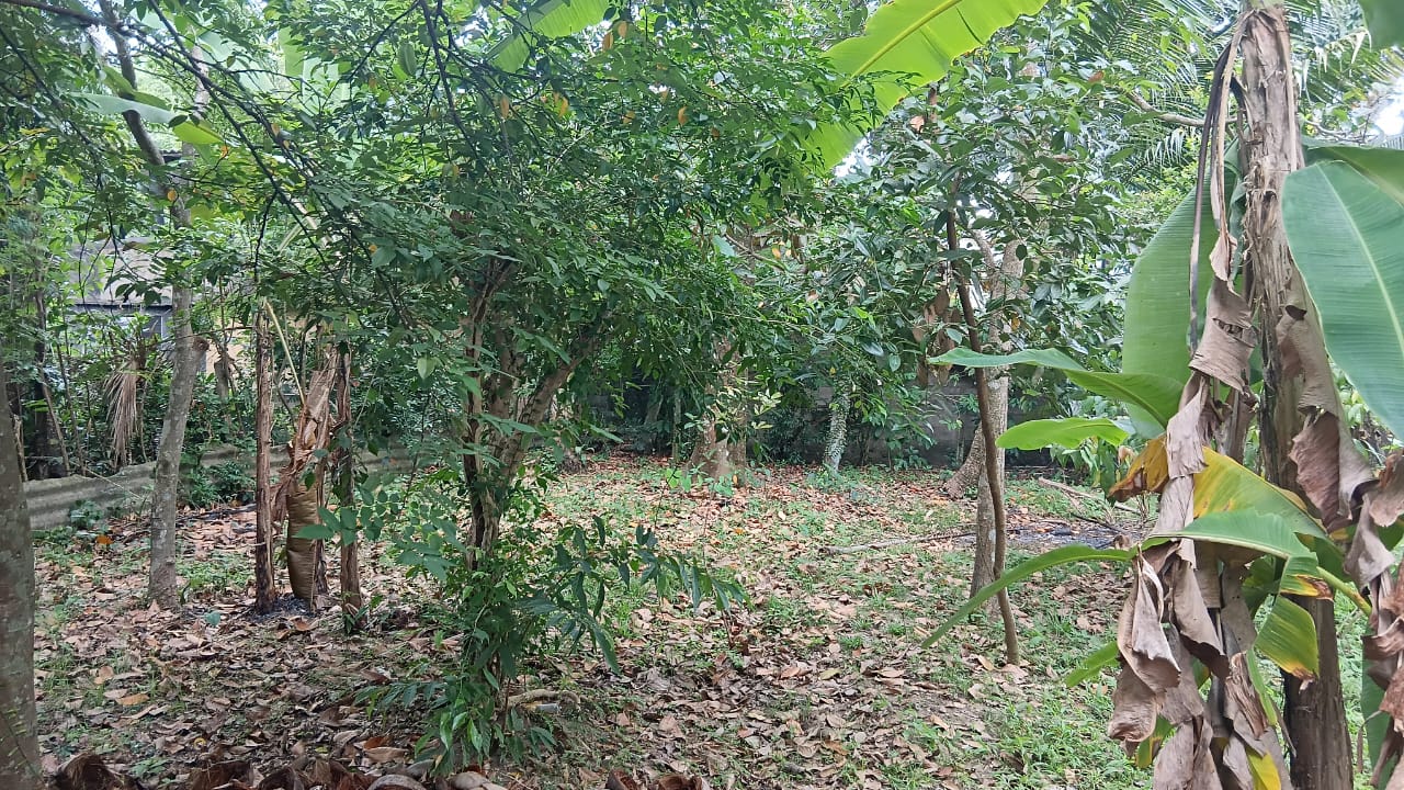 Land For Sale In කුඩමාදුව