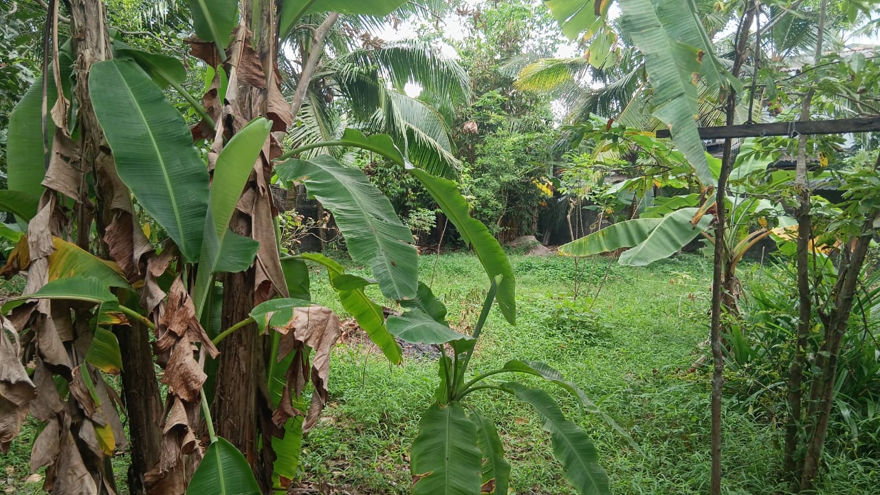 Land For Sale In කුඩමාදුව