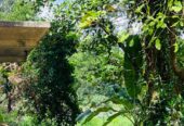Land For Sale in Kirindiwela