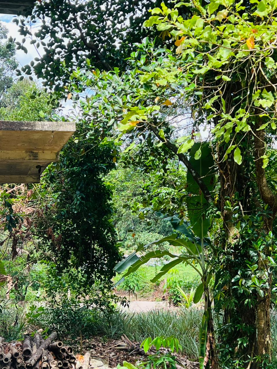 Land For Sale in Kirindiwela