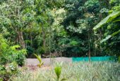 Land For Sale in Kirindiwela