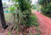 Land For Sale in Kirindiwela