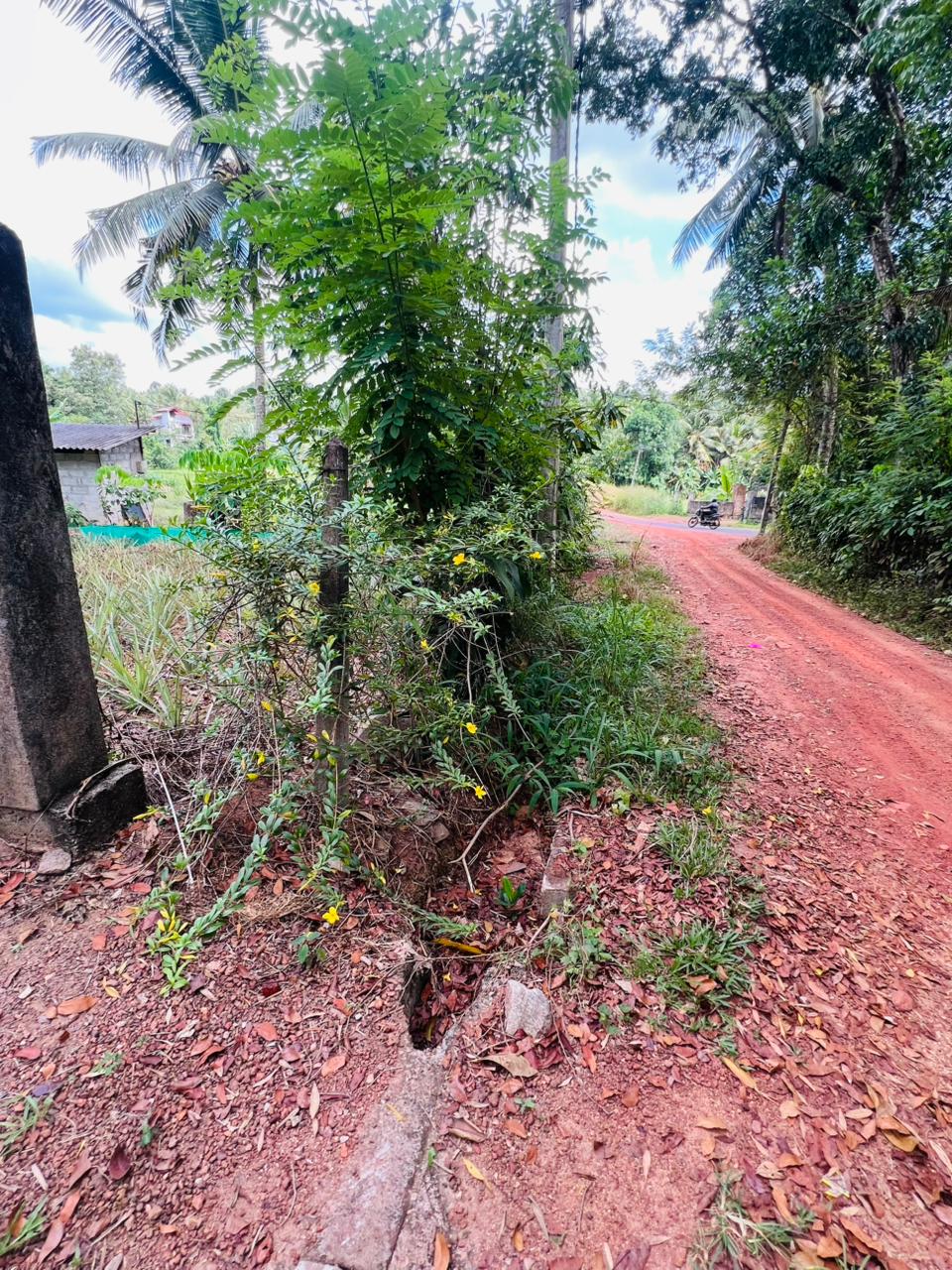 Land For Sale in Kirindiwela