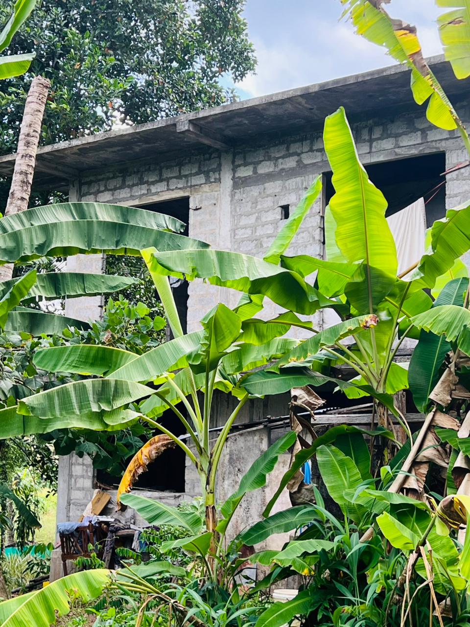 Land For Sale in Kirindiwela