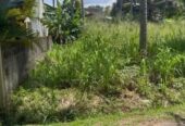 Land for Sale in Dambokka Kurunegala