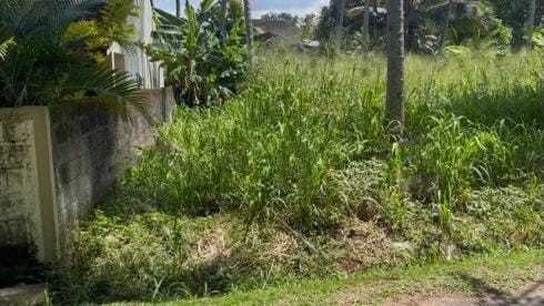 Land for Sale in Dambokka Kurunegala