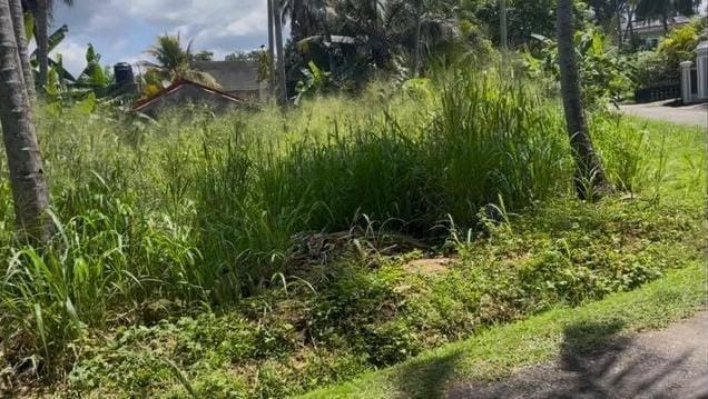 Land for Sale in Dambokka Kurunegala