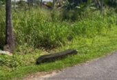 Land for Sale in Dambokka Kurunegala