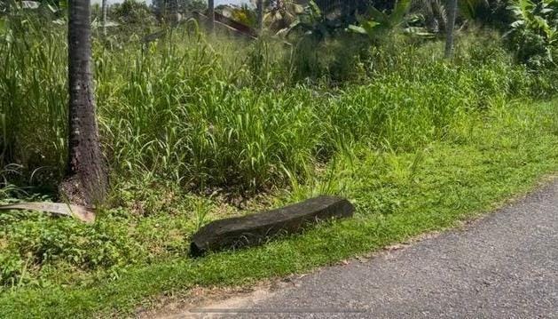 Land for Sale in Dambokka Kurunegala