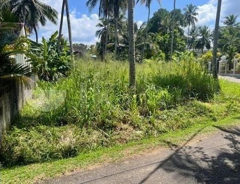 Land for Sale in Dambokka Kurunegala