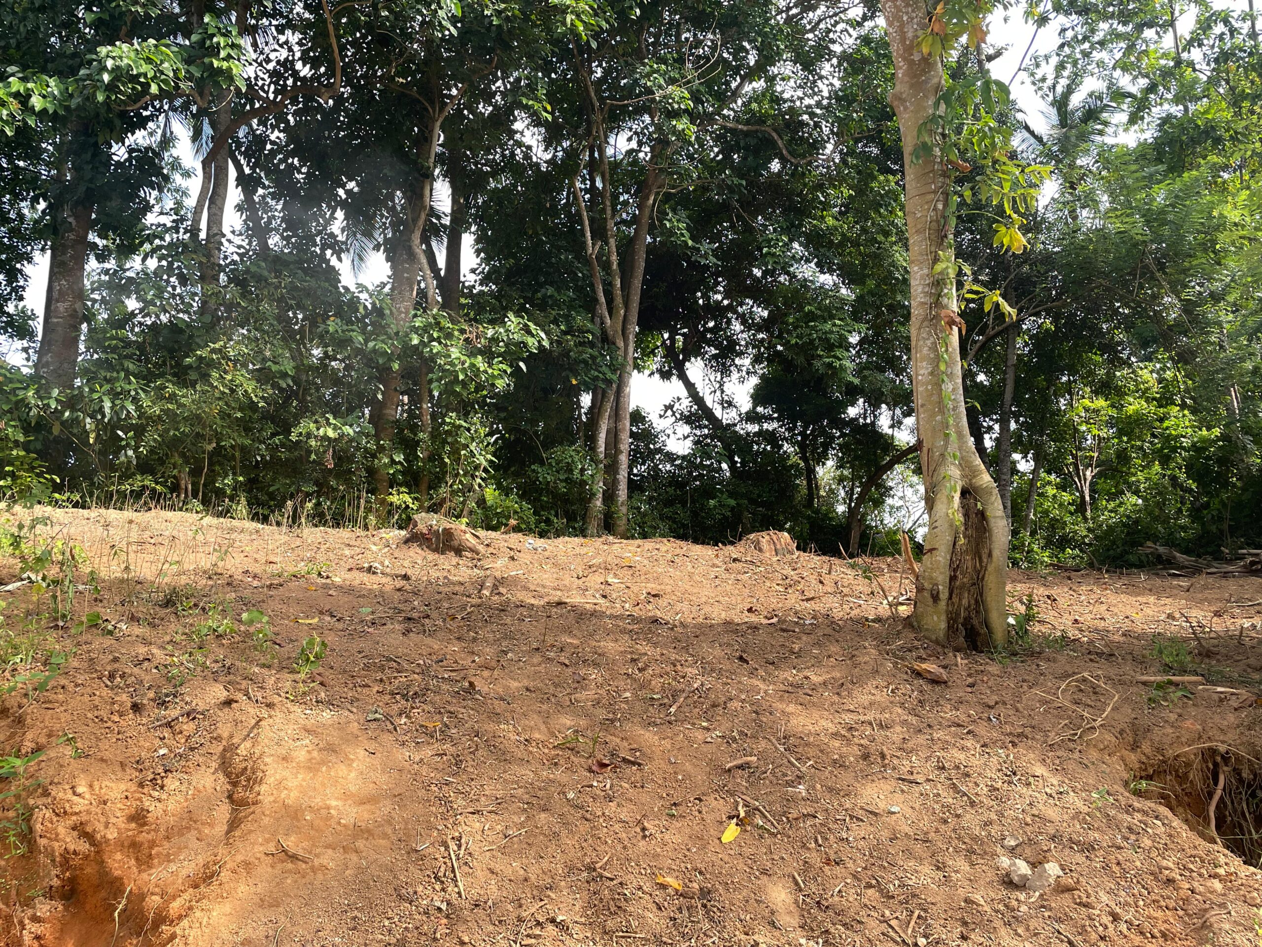 Land for Sale Kanampitiya