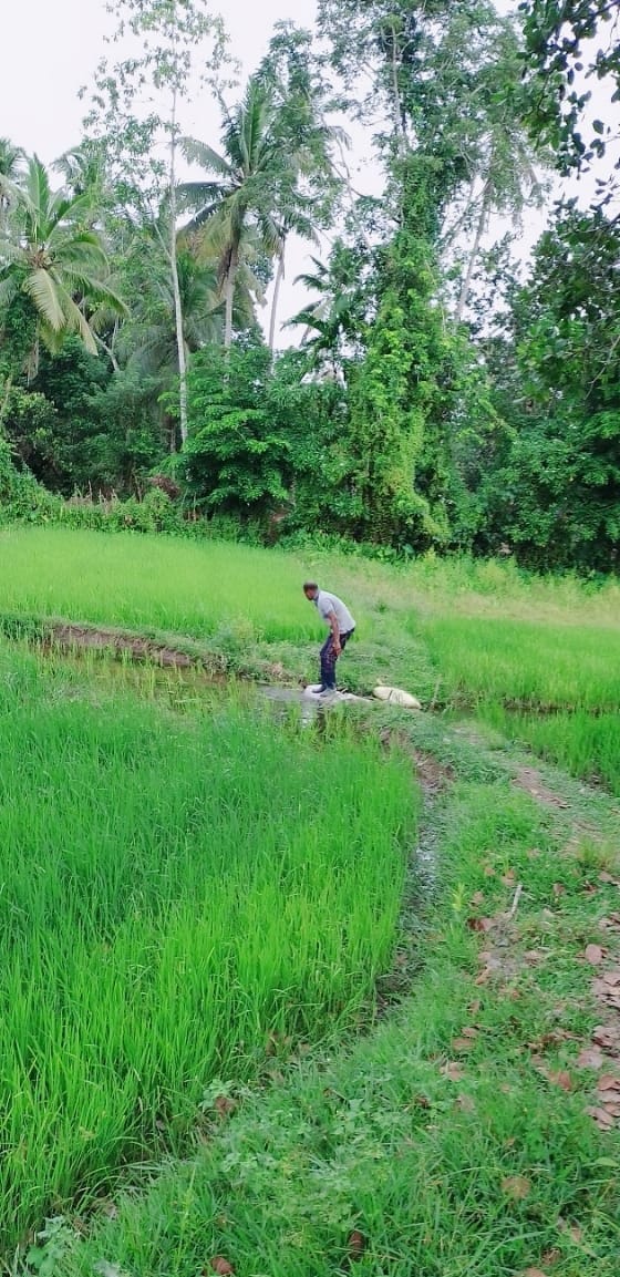 සුන්දර ඉඩමක්‌ විකිනීමට – උඩුගම්පොල