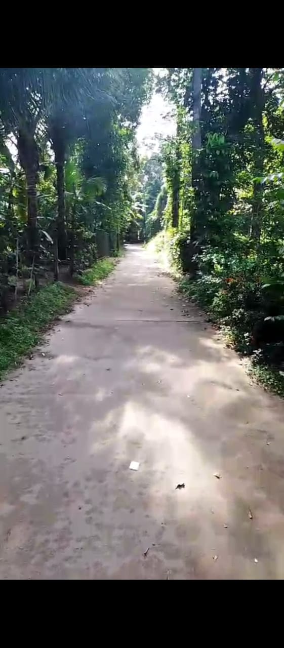 සුන්දර ඉඩමක්‌ විකිනීමට – උඩුගම්පොල