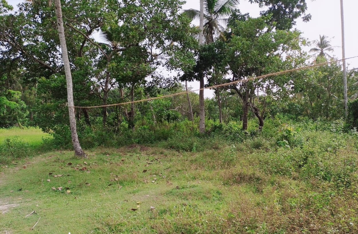 සුන්දර ඉඩමක්‌ විකිනීමට – උඩුගම්පොල