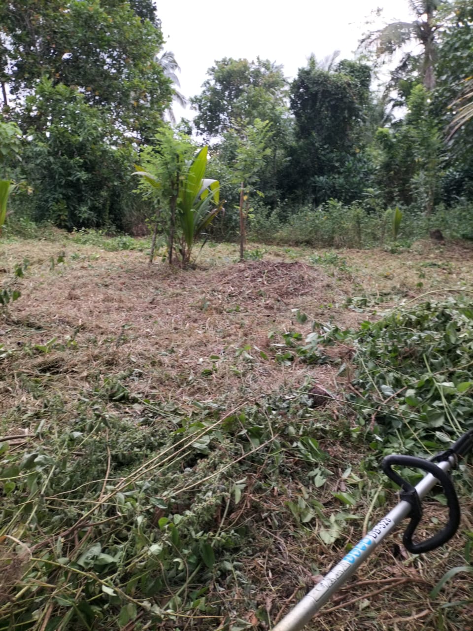 සුන්දර ඉඩමක්‌ විකිනීමට – උඩුගම්පොල