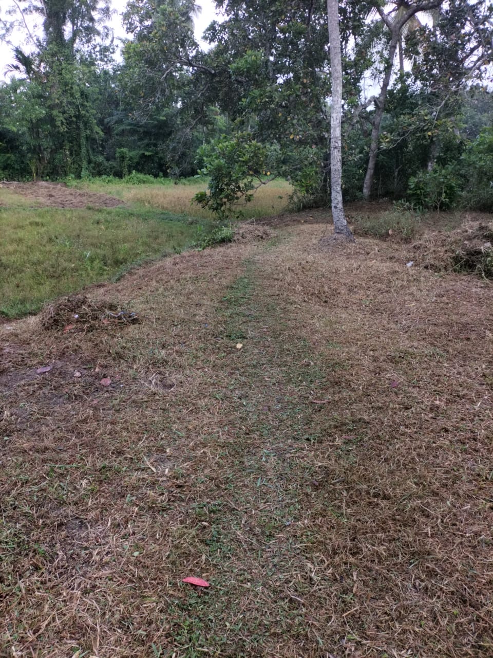 සුන්දර ඉඩමක්‌ විකිනීමට – උඩුගම්පොල