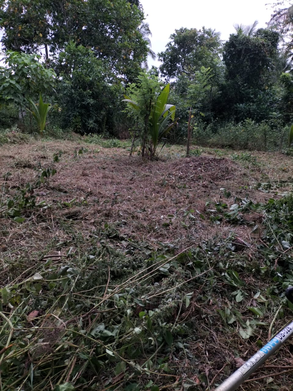 සුන්දර ඉඩමක්‌ විකිනීමට – උඩුගම්පොල