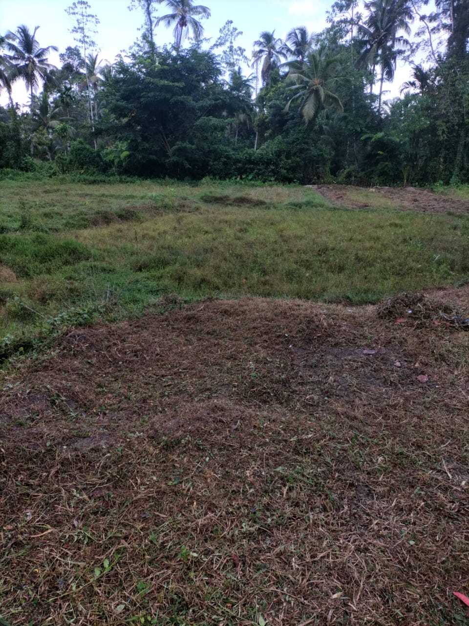 සුන්දර ඉඩමක්‌ විකිනීමට – උඩුගම්පොල