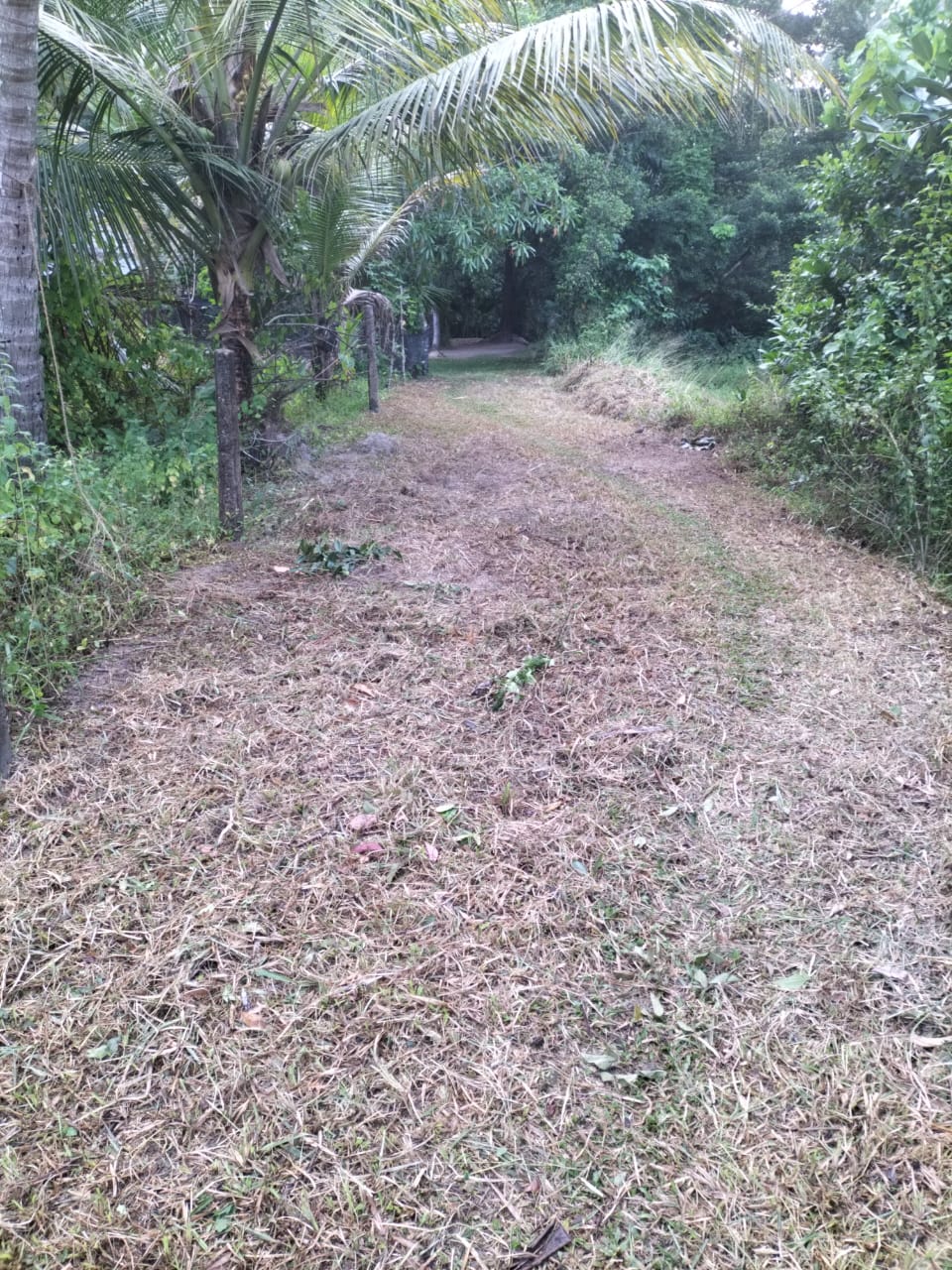 සුන්දර ඉඩමක්‌ විකිනීමට – උඩුගම්පොල