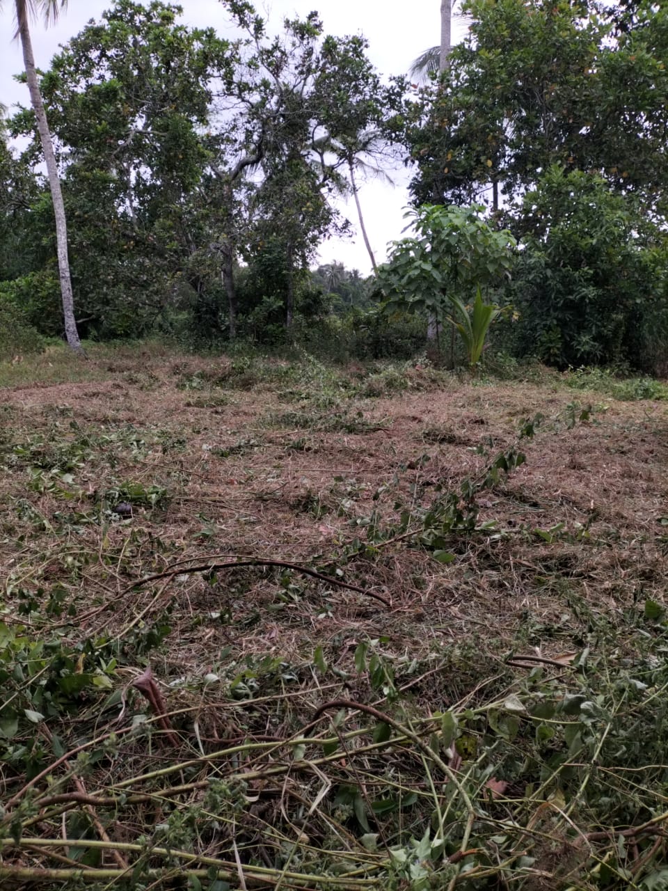 සුන්දර ඉඩමක්‌ විකිනීමට – උඩුගම්පොල