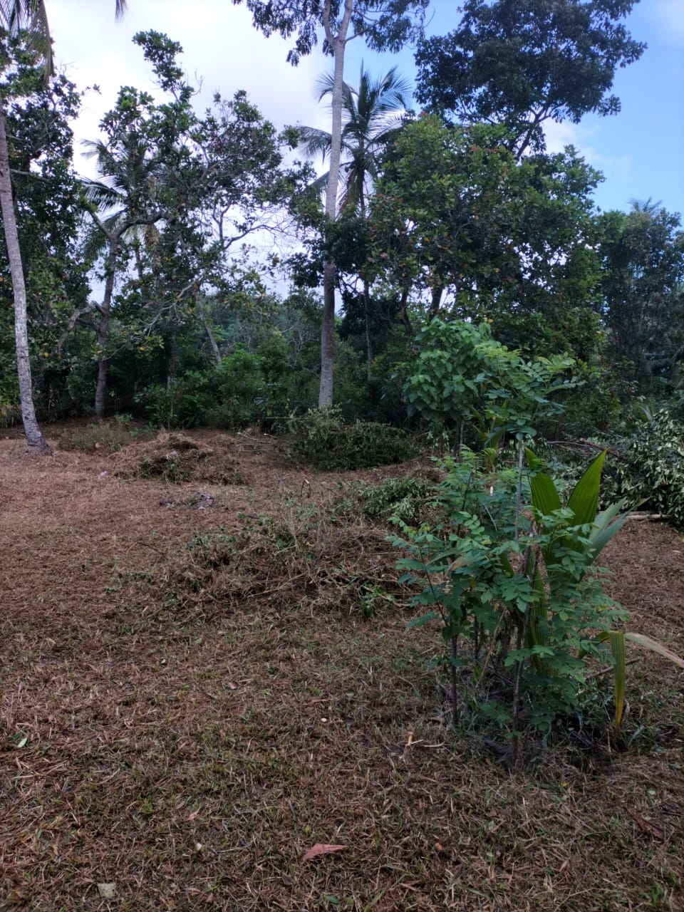 සුන්දර ඉඩමක්‌ විකිනීමට – උඩුගම්පොල